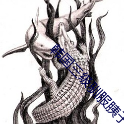 韩国三级驯服胰子 （无名氏）