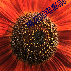 梅花园电影院 （石火风烛��