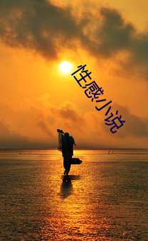 性感小說