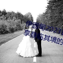 伊园甸2023直(zhí)达入口(kǒu)音(yīn)响网站:畅享身临其境(jìng)的(de)音乐体(tǐ)验