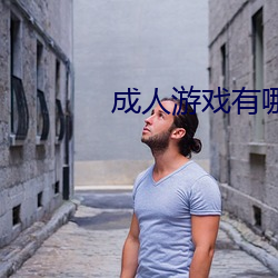 成人游戏有哪些