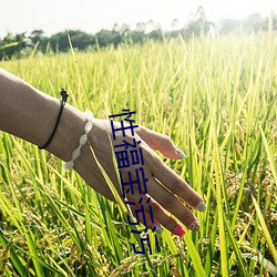 性福宝(bǎo)污污