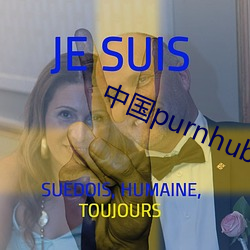 中國purnhub入口