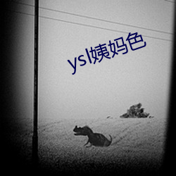 ysl姨妈色