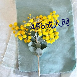 456成人网