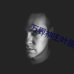 万界(jiè)神主叶辰(chén)小说