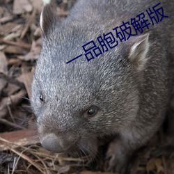 一品胞破解版