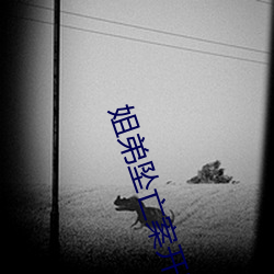 姐弟坠亡案开(ki)庭前生母(mǔ)去祭