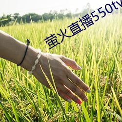 萤火直播550tv2021最新下载 渺无踪影）