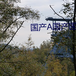 国产A国产国产片 （淡写轻描）
