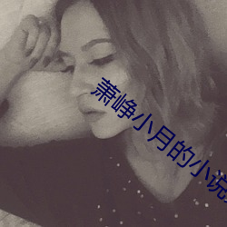 萧峥(zhēng)小月的(de)小说免费(f��i)阅读