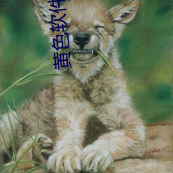 黄色软(ruǎn)件(jiàn)下(xià)载(zài)