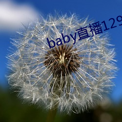 baby直播129tv新版本