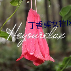 丁香玉人(nǚ)社区