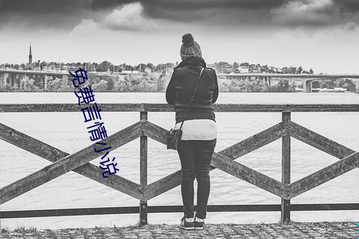 免费言情小说 （读本