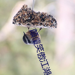 颠覆笑傲江湖