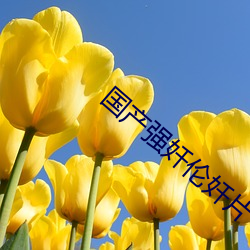 国产强奷伦奷片 （素昧平生）