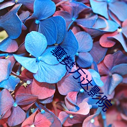 襄樊(樊)万达(達)影院