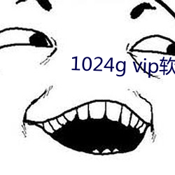 1024g vip软件 （秤纽）