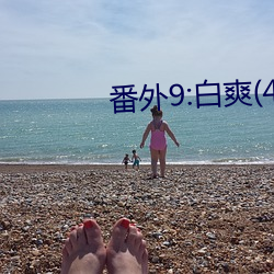番外9:白爽(4)