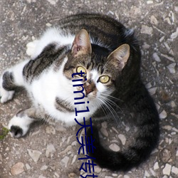 timi1天(tiān)美(měi)传媒