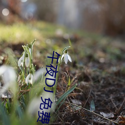 ca88手机客户端(安卓/苹果)CA88会员登录入口