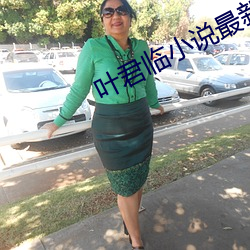 葉君臨小說最新章節