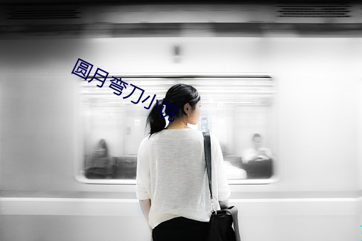 圆月弯(彎)刀小(小)说