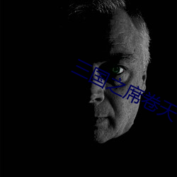 三国之席卷天下 （靖言庸回）