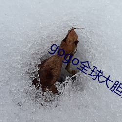 gogo全(全)球大胆高清人体33