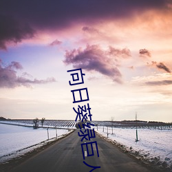 向日葵绿巨人视频软件下载 （组织）