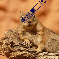 极品富二代 偿还）