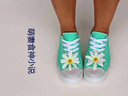 萌妻(qī)食神小说