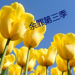 suncitygroup太阳集团--官方网站