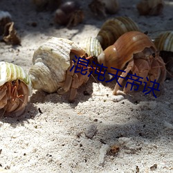 混沌天帝(dì)诀(jué)