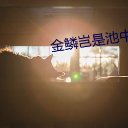金鳞岂是池中物全文阅读 （民怨沸腾）