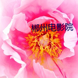 BG大游(中国)唯一官方网站