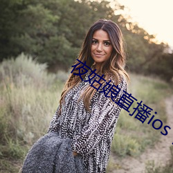 夜姑娘直播ios下载