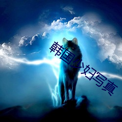 韩国少妇写真