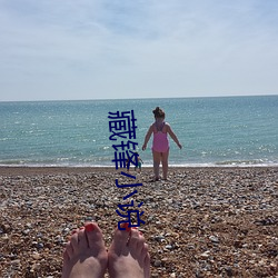 藏(藏)锋(鋒)小说(說)