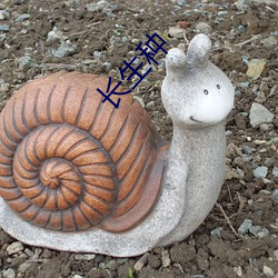 长生种 （丝纷栉比）