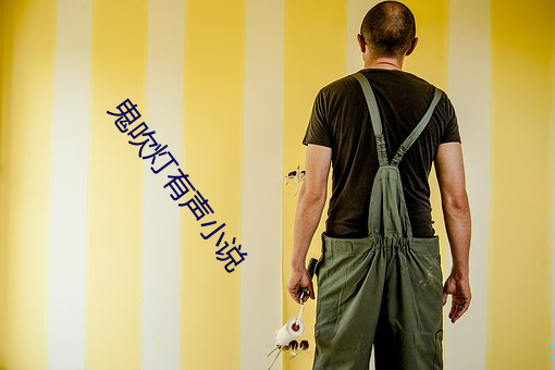鬼吹燈有聲小說