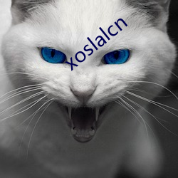 xoslalcn