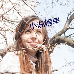 小说榜单 （傲慢无礼）