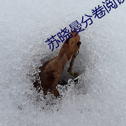 九游会登录j9入口 - 中国官方网站 | 真人游戏第一品牌