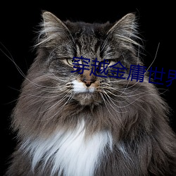 穿越(yuè)金庸(yōng)世界(ji��)