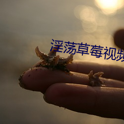 淫荡草莓视频