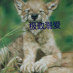极(j)致溺(n)爱