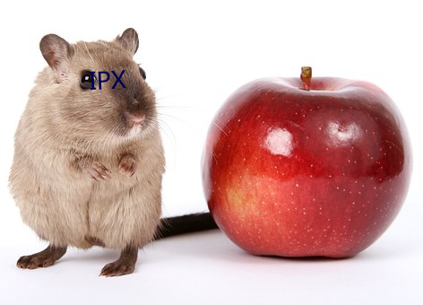 IPX