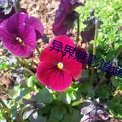 异界魅影逍(逍)遥